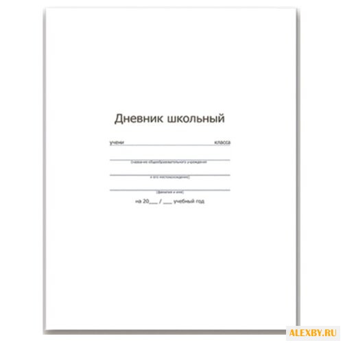Феникс Дневник школьный с