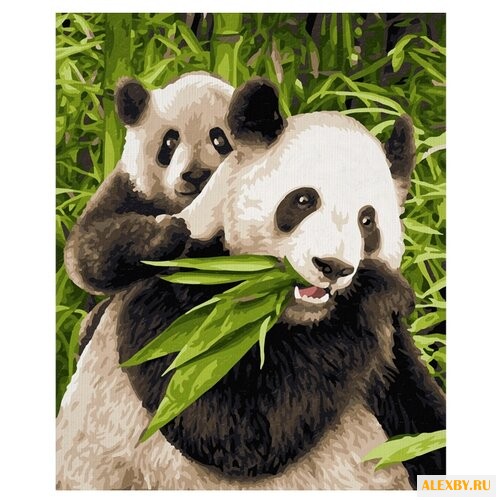 Schipper Картина по номерам