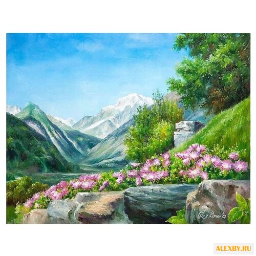 Paintboy Картина по номерам