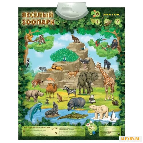 Электронный плакат Знаток