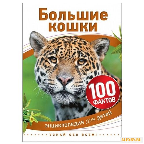 Бедуайер К. 100 фактов. Большие