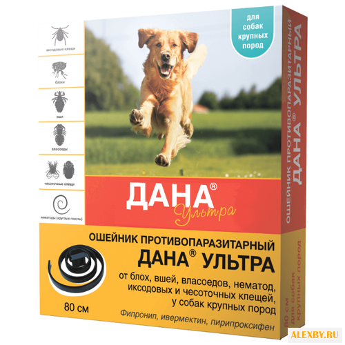 Api-San Дана Ультра Ошейник для