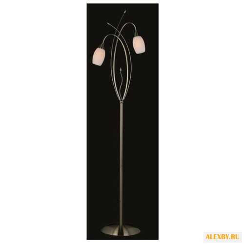 Торшер Eurosvet 22080 2F