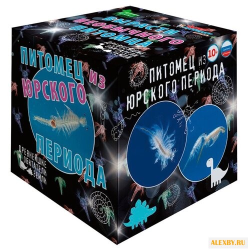 Набор Qiddycome Питомец из