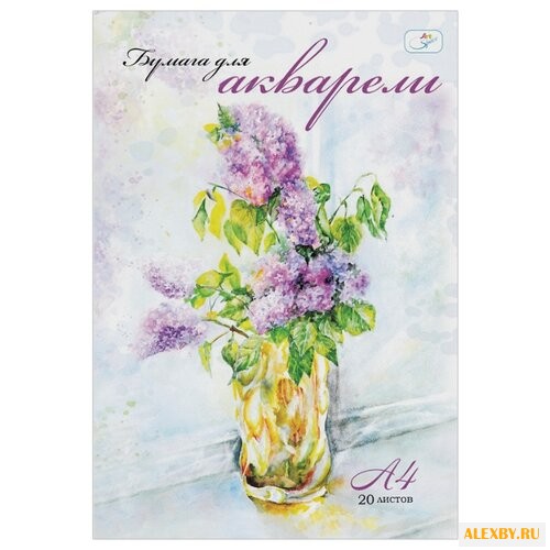 Папка для акварели ArtSpace