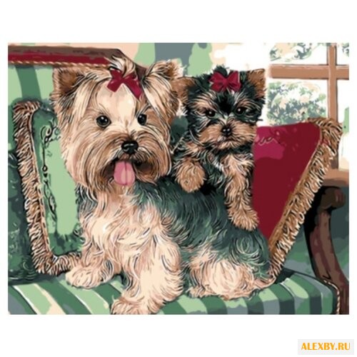 Color Kit Картина по номерам