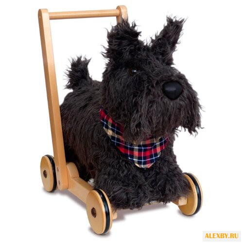 Каталка-ходунки Little Bird