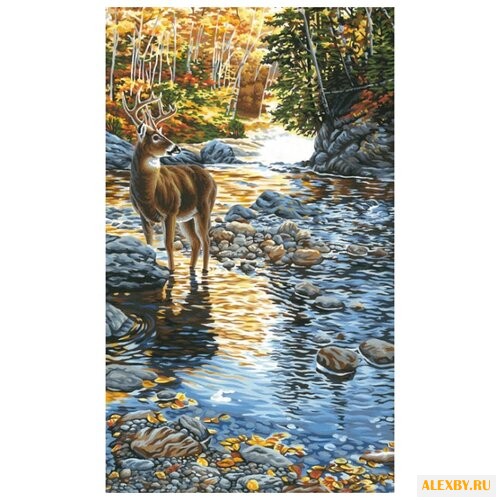 Dimensions Картина по номерам