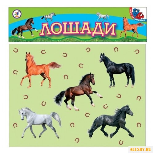 Фигурки Дрофа-Медиа Магнит -