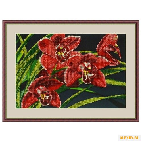 Galla Collection Набор для