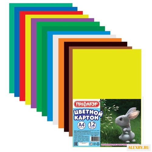 Цветной картон Пифагор A4 12