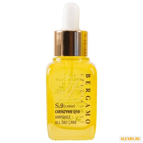 Bergamo Specialist S Nine