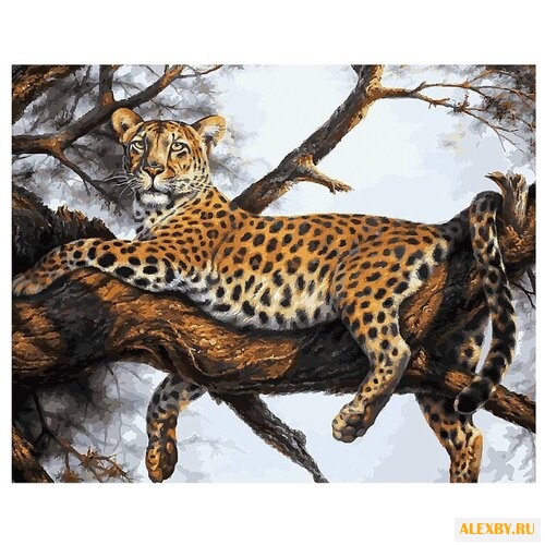 Белоснежка Картина по номерам