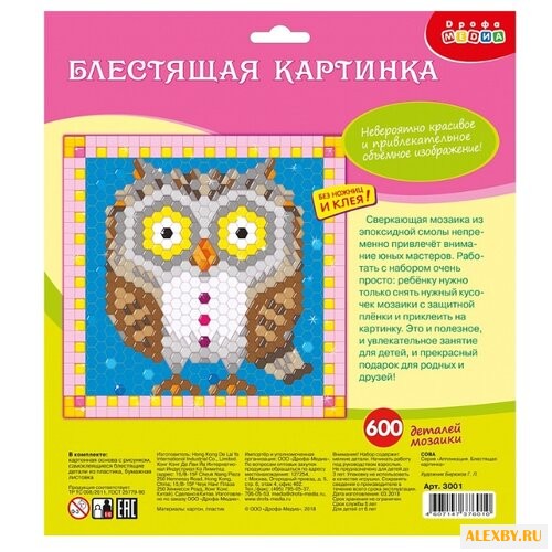 Дрофа-Медиа Набор для создания