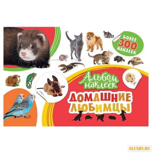 РОСМЭН Альбом наклеек Домашние