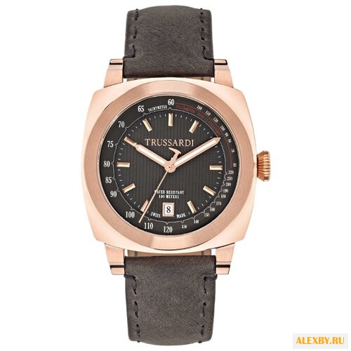 Наручные часы TRUSSARDI