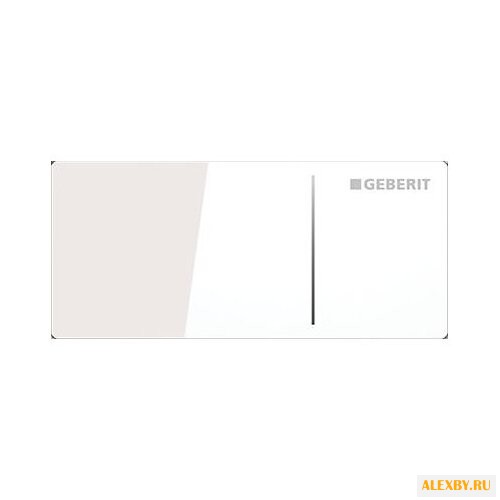 Кнопка смыва GEBERIT