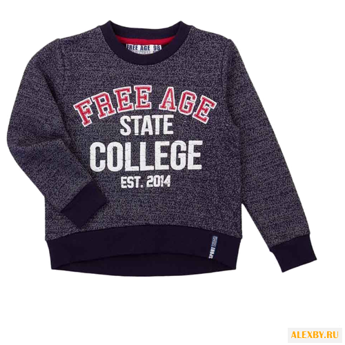 Свитшот Free Age