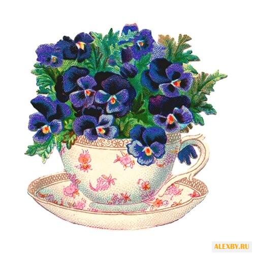 Алмазная живопись Набор