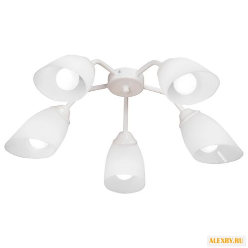 Люстра Vitaluce V3195 5PL