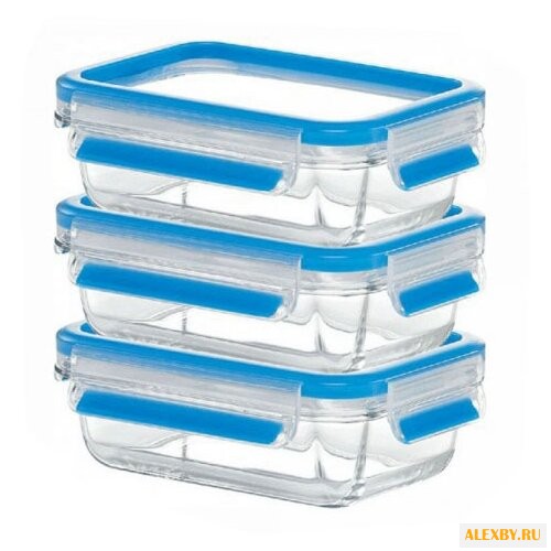 EMSA Набор из 3 контейнеров