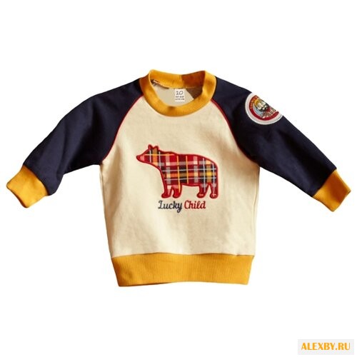Свитшот lucky child