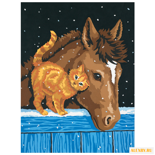 Dimensions Картина по номерам