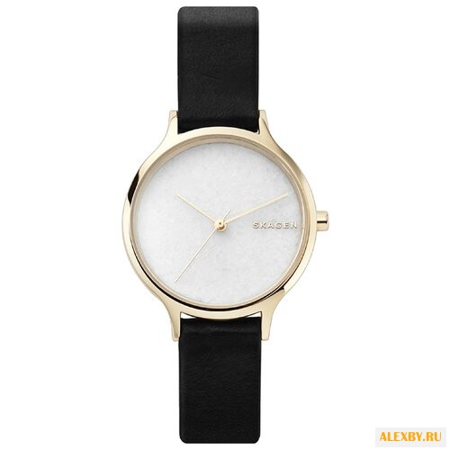 Наручные часы SKAGEN SKW2671