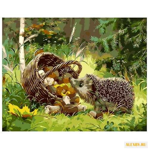 Color Kit Картина по номерам