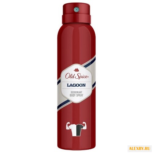 Дезодорант спрей Old Spice Lagoon