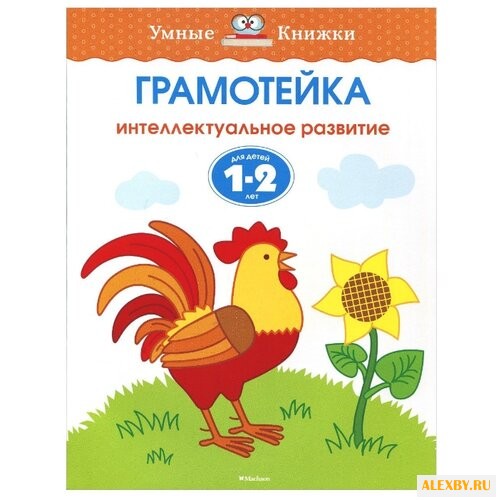 Земцова О.Н. Умные книжки.