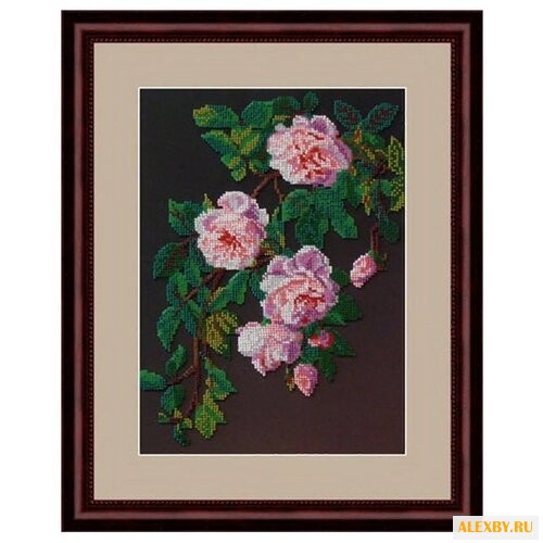 Galla Collection Набор для