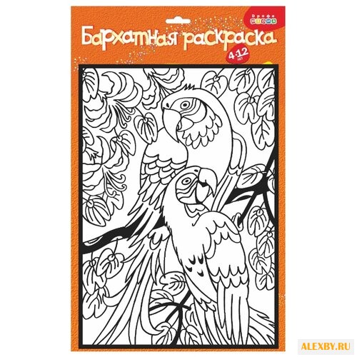 Дрофа-Медиа Бархатная