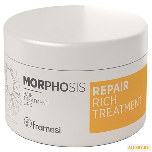 Framesi Morphosis Repair