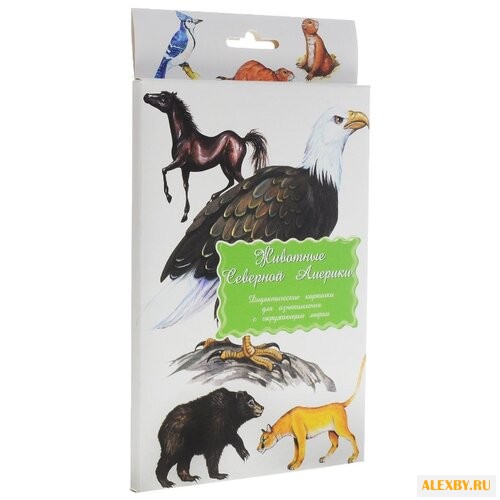 Набор карточек Маленький гений