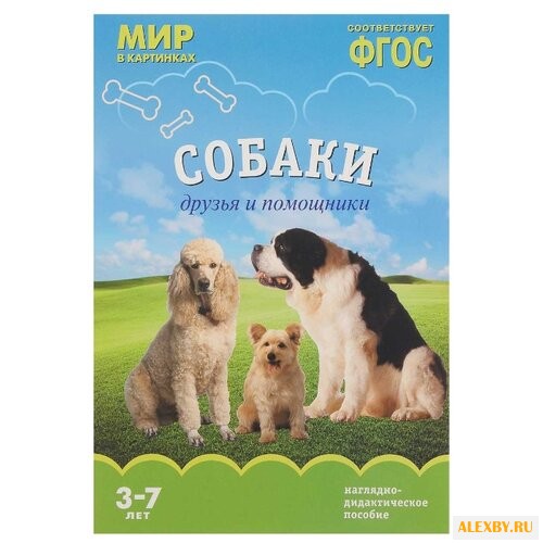 Набор карточек Мозаика-Синтез