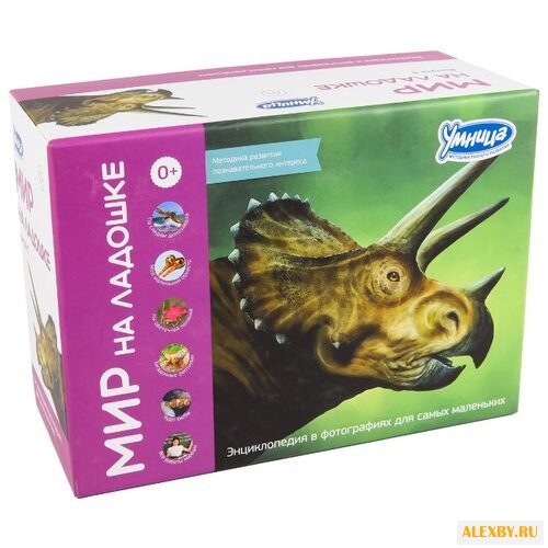 Набор карточек Умница Мир на