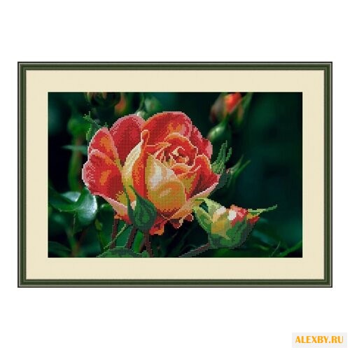 Galla Collection Набор для