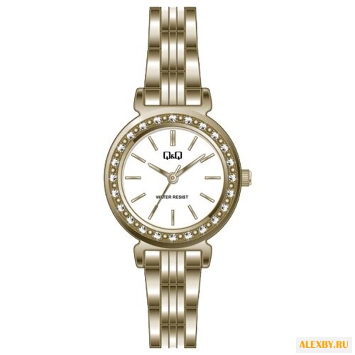 Наручные часы Q&Q F647-001