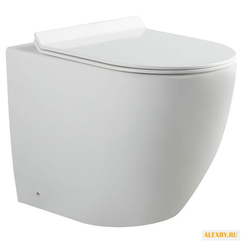 Унитаз Aquanet Cetus BL-102N-FST