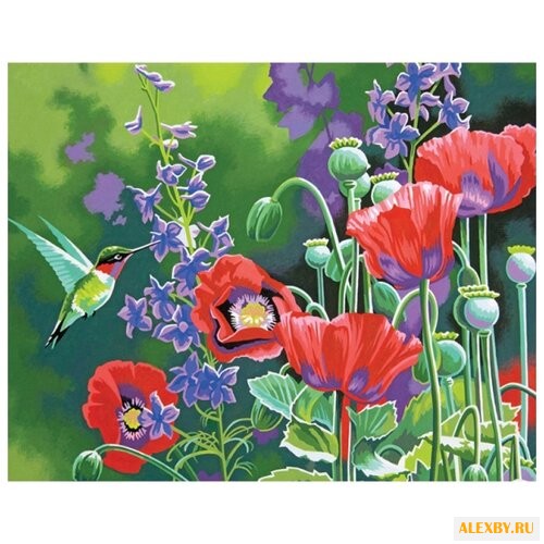 Dimensions Картина по номерам