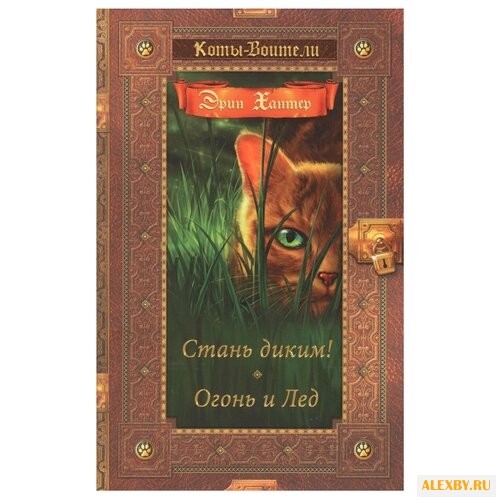 Хантер Э. Коты-воители. Стань