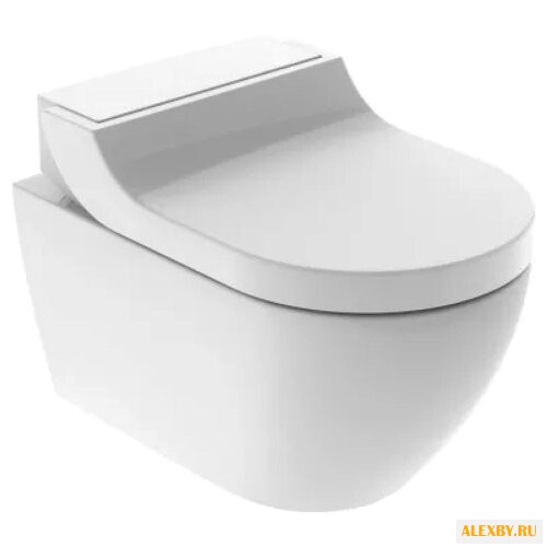 Унитаз-биде GEBERIT Tuma