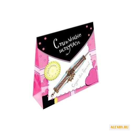 Дрофа-Медиа Набор для плетения