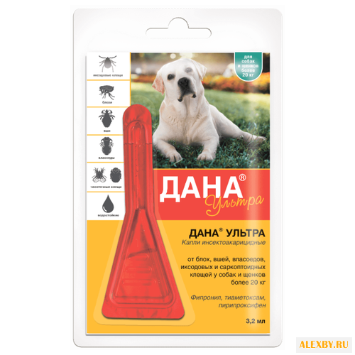 Api-San Дана Ультра для собак и