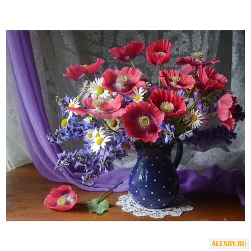 Paintboy Картина по номерам