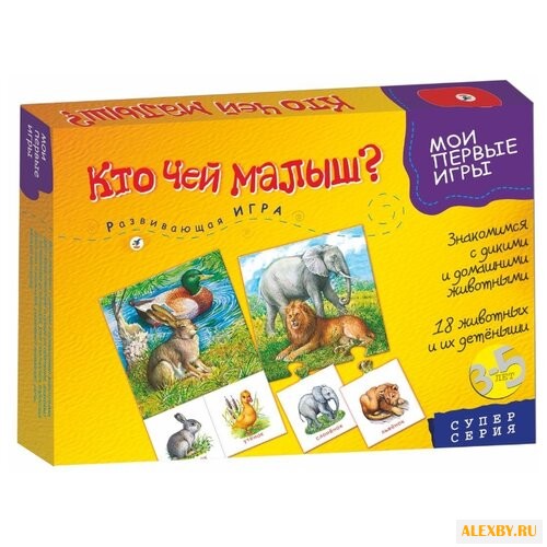 Настольная игра Дрофа-Медиа