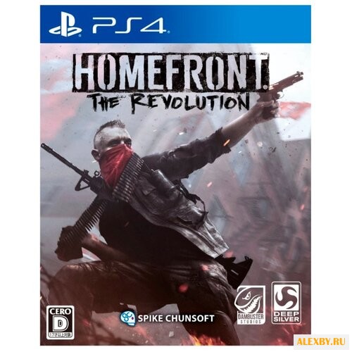 Homefront: The Revolution