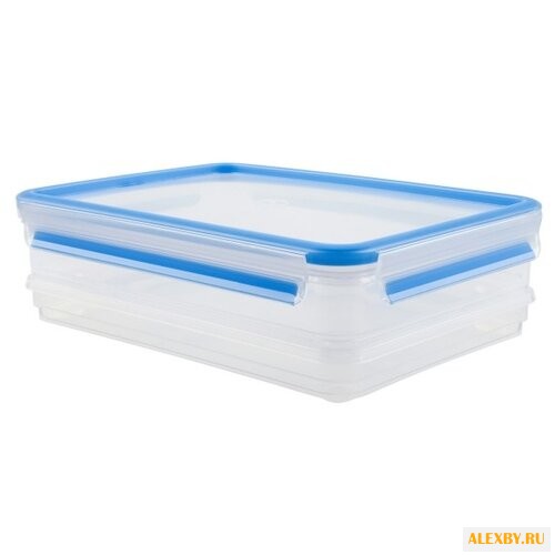 EMSA Набор из 2 контейнеров