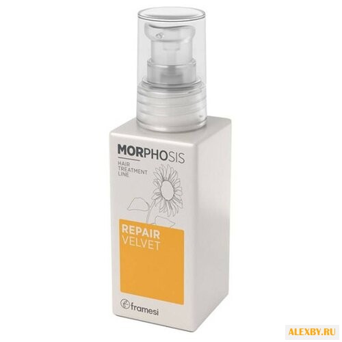 Framesi Morphosis Repair